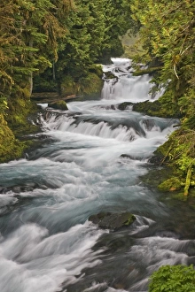 USA, North America, Oregon