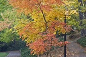 USA, North America, Oregon