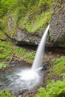 USA, North America, Oregon