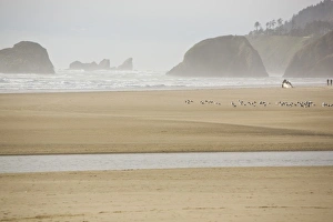 Images Dated 23rd April 2007: USA, North America, Oregon