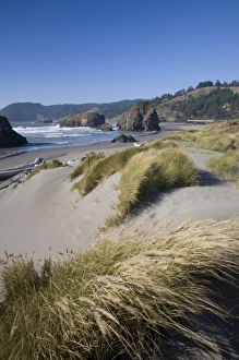 Images Dated 4th September 2008: USA, North America, Oregon