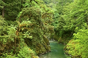 USA, North America, Oregon