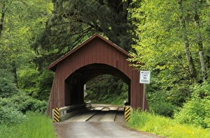 North Fork Prints: USA, North America, Oregon