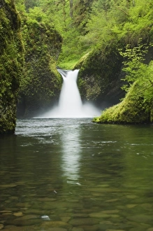 Images Dated 25th May 2010: USA, North America, Oregon