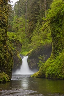 Images Dated 19th May 2010: USA, North America, Oregon