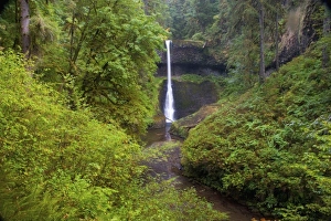 Images Dated 10th September 2005: USA, North America, Oregon