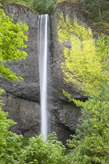 USA, North America, Oregon