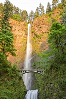 Images Dated 31st May 2009: USA, North America, Oregon