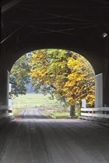 Images Dated 12th July 2010: USA, North America, Oregon