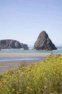 Images Dated 4th September 2008: USA, North America, Oregon