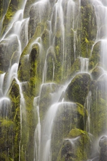 Images Dated 18th October 2008: USA, North America, Oregon