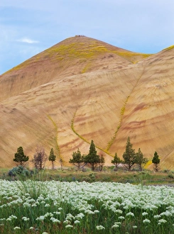 USA, North America, Oregon
