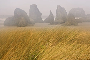 Images Dated 28th May 2006: USA, North America, Oregon