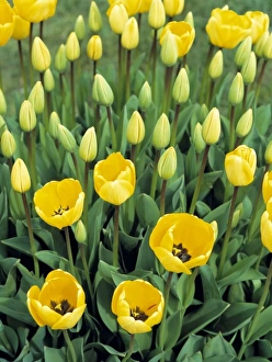USA, North America, Oregon