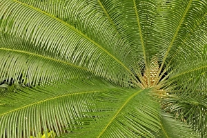 USA, North America, Pennsylvania