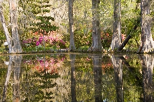 Images Dated 25th March 2007: USA, North America, South Carolina