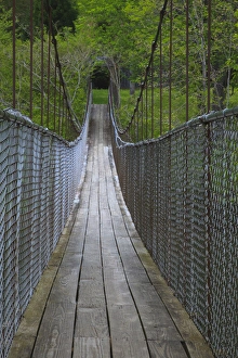 Smokies Prints: USA; North America; Tennesse; Narrow foot bridge over stream in Tennessee