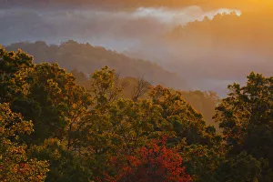 Images Dated 25th October 2016: USA; North America; Tennessee; Great Smoky Mountain NP; Trees and fog at sunrise