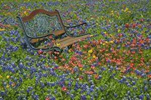 Images Dated 2nd April 2006: USA, North America, Texas