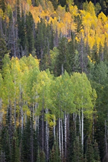 Images Dated 1st October 2011: USA, North America, Utah