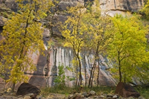 USA, North America, Utah