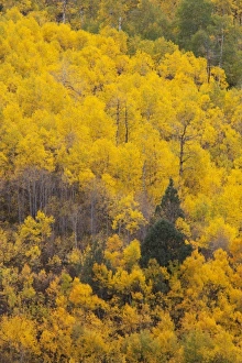 Images Dated 1st October 2011: USA, North America, Utah