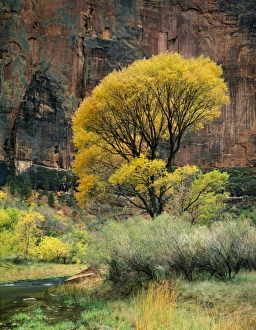 USA, North America, Utah