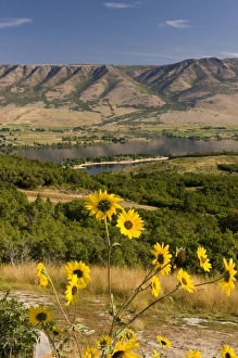 Images Dated 8th September 2009: USA, North America, Utah