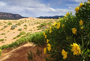 Images Dated 14th June 2009: USA, North America, Utah