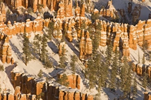 Images Dated 13th February 2009: USA, North America, Utah