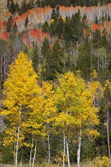 Images Dated 3rd October 2011: USA, North America, Utah