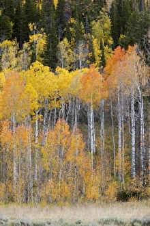 Images Dated 2nd October 2011: USA, North America, Utah