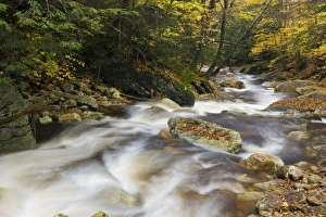 Images Dated 7th October 2009: USA, North America, Vermont