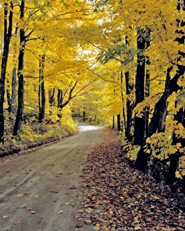 USA, North America, Vermont