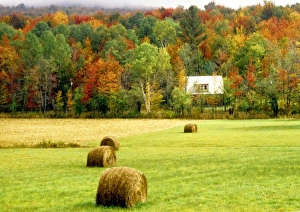 Images Dated 3rd September 2009: USA, North America, Virginia