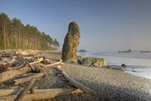 Images Dated 25th June 2009: USA, North America, Washington