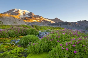 USA, North America, Washington