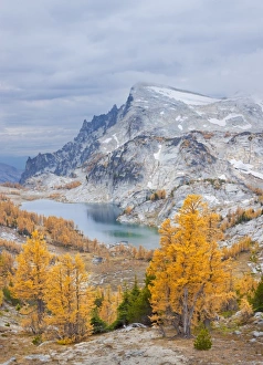 Images Dated 7th October 2010: USA, North America, Washington