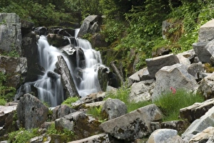 USA, North America, Washington