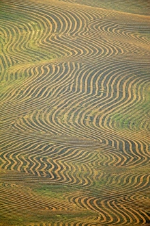 Images Dated 8th August 2009: USA, North America, Washington