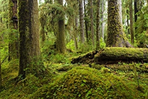 USA, North America, Washington