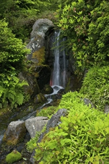 Images Dated 8th June 2005: USA, North America, Washington
