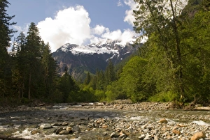 Images Dated 25th June 2007: USA, North America, Washington