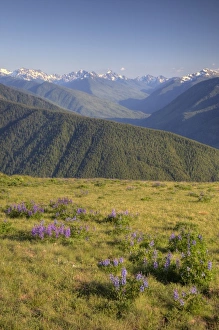 USA, North America, Washington