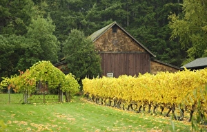 Images Dated 25th October 2009: USA, North America, Washington