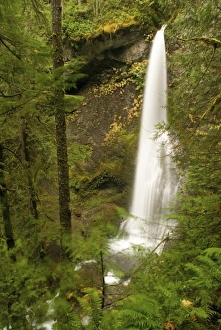 Images Dated 18th November 2006: USA, North America, Washington
