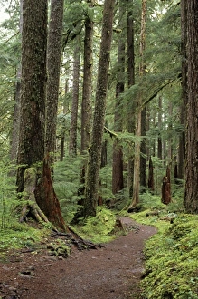 USA, North America, Washington