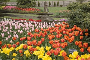 Images Dated 12th April 2007: USA, North America, Washington