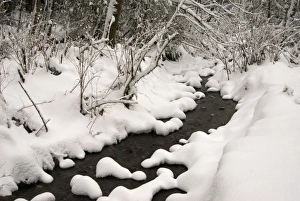 Images Dated 22nd December 2008: USA, North America, Washington
