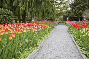 Images Dated 28th April 2009: USA, North America, Washington